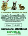 /album/jornadas-de-esterilizacion-en-curico-cada-dos-meses/flayer-listo-jpg/